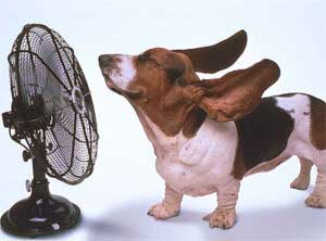 Image 2 Quality Air Conditioning Services